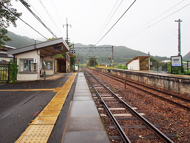 �������w