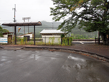 �������w