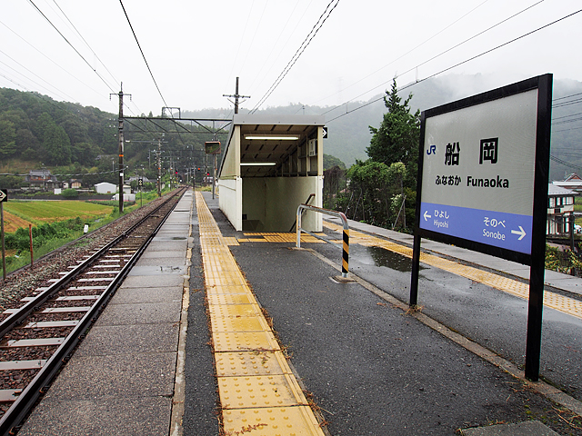 �D���w�i�i�q�����{�j