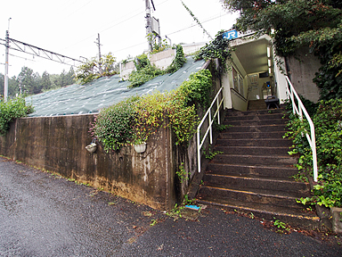 �D���w�i�i�q�����{�j