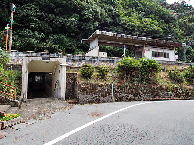 ���J�w�i�i�q�����{�E���Ɍ��j