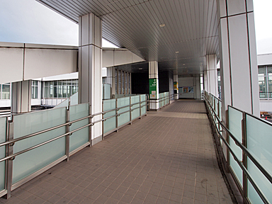 ���Y�w�i�i�q�����{�j