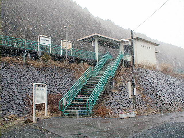 ���O�ˑq�w