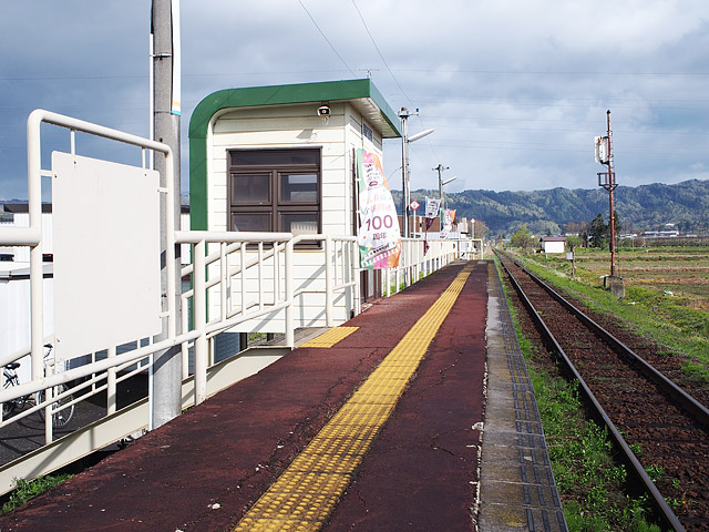 zsw