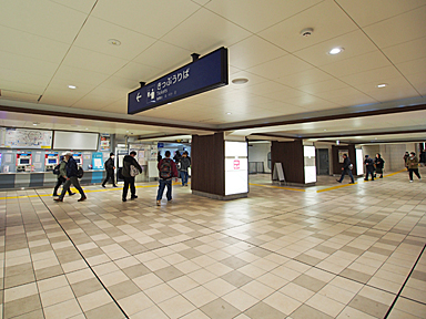 ���}�v���l�w