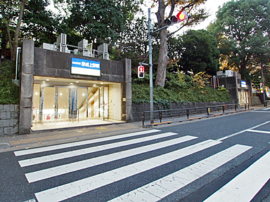 �������w