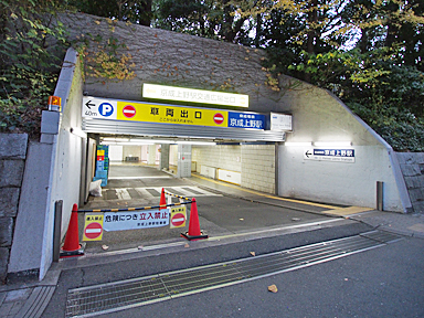 �������w